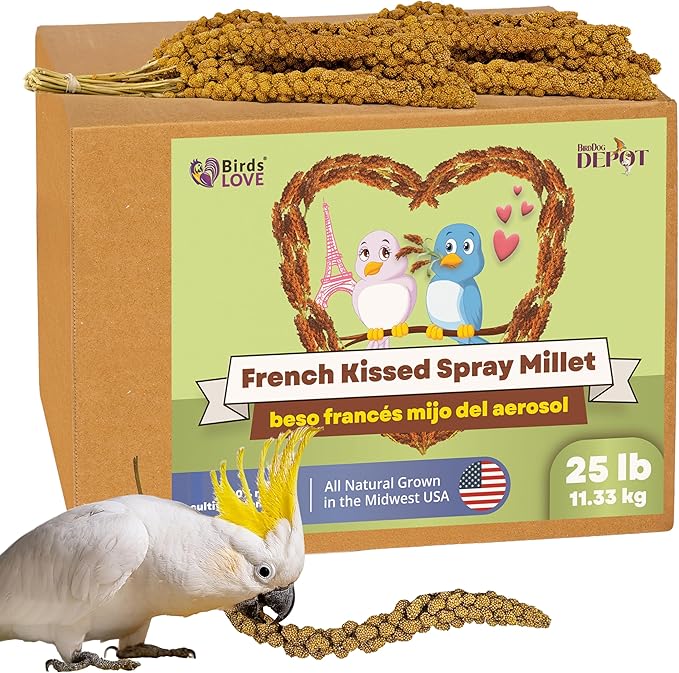 Birds LOVE French Kissed Spray Millet for Birds - Parakeets, Cockatiels, Lovebirds, Finches, Budgies, Canaries, Cockatoos - Natural & Healthy Bird Millet - Parakeet Food & Treats for all Parrots 25lbs