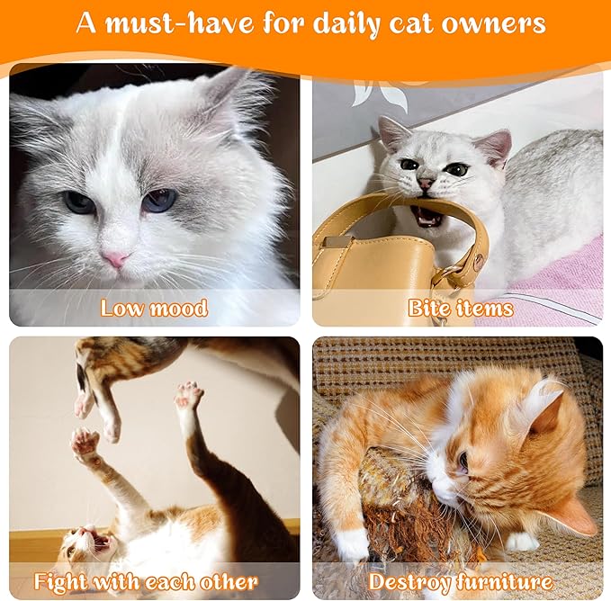 Cat Toys for Indoor Cats, 5Ps Cats Fetch Toys, Fluffy Toys for Playing, Interactive Kitten Toys, Kitty Chew Teething Toys, Cat Chew Toy for Kittens (Multi Color, 5 Pack)