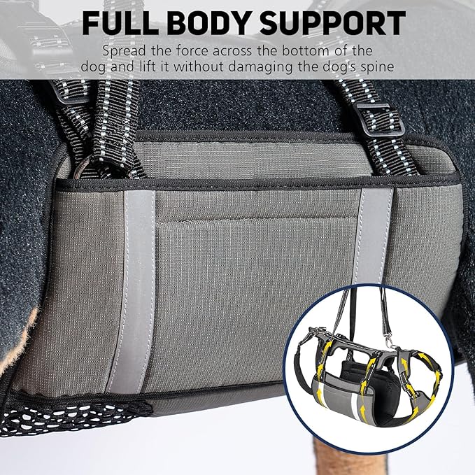 COODEO Mobility Dog Lift Harness, Emergency Carry Sling, Pet Rear Leg Support Rehabilitation Lifts Vest, Dog Carrier for Senior Dogs Joint Injuries, Arthritis (Orange, L)