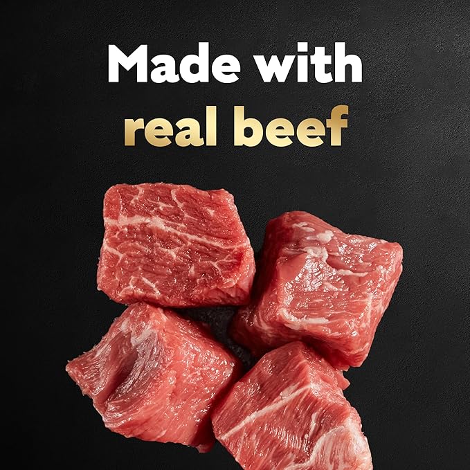 Cesar Filets in Gravy Adult Wet Dog Food, Filet Mignon and New York Strip Flavors Variety Pack, 3.5 oz. (12 Count, Pack of 1)