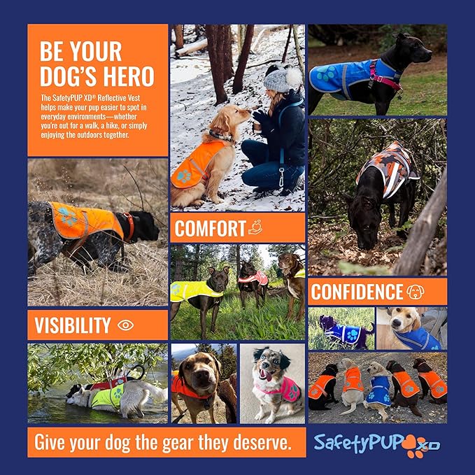 Dog Reflective Vest – Hi-Vis Fluorescent Visibility That Helps to Safeguard Your Pet On/Off Leash in Urban & Rural Areas (Teal, X-Small)