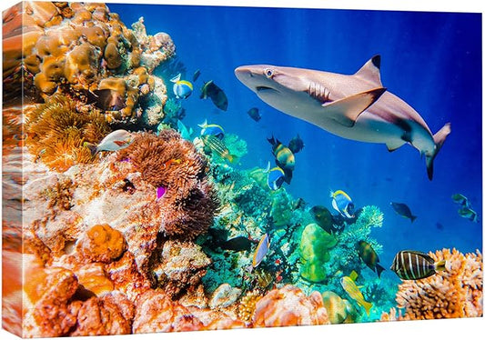 wall26 Canvas Print Wall Art Shark Fish Multicolor Coral Reef Ocean Sea Nature Animals Photography Realism Rustic Scenic Landscape Wilderness Earth for Living Room, Bedroom, Office - 16"x24"