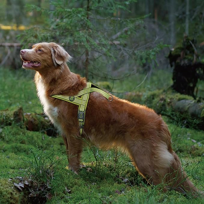 DOCO No-Pull Dog Harness Halter Reflective Easy-Control Harness for Training, Walking, and Preventing Pulling, Ideal for Large Dogs(Red)