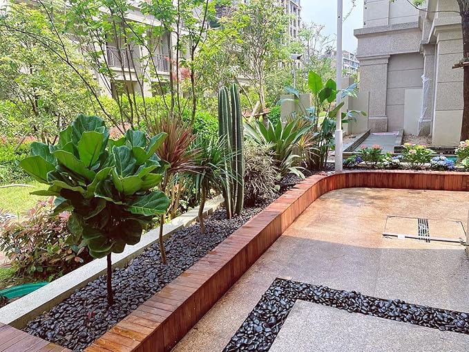 40 lbs Black River Rocks for Landscaping, 2-3 inch Pebbles for Indoor Plants, Large Decorative Stones for Planters Aquarium Fish Tank and Garden Rocks