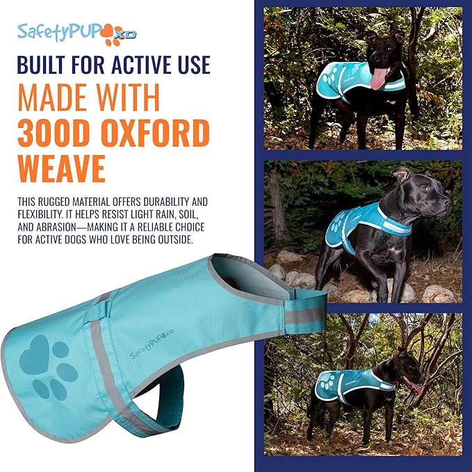 Dog Reflective Vest – Hi-Vis Fluorescent Visibility That Helps to Safeguard Your Pet On/Off Leash in Urban & Rural Areas (Teal, Small)