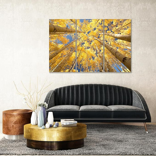 Nature Wall Art Prints - Ocean Forest Mountain Lake Canvas Landscapes - Small to Extra Large Living Room Bedroom Kitchen Bathroom Décor (Reaching for the Sky, 55L" x 83W"- 3 Panels)