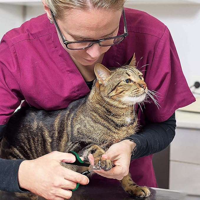 Candure Cat Nail Clippers for Cats, Rabbits, Hamsters, Birds - Stainless Steel Trimmer with Precise Angled Edges for Easy & Safe At-Home Grooming