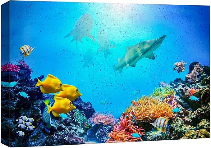 wall26 Canvas Print Wall Art Vibrant Coral Reef Shark Fish Anemone Reef Nature Animals Photography Realism Rustic Scenic Landscape Wilderness Earth for Living Room, Bedroom, Office - 24"x36"