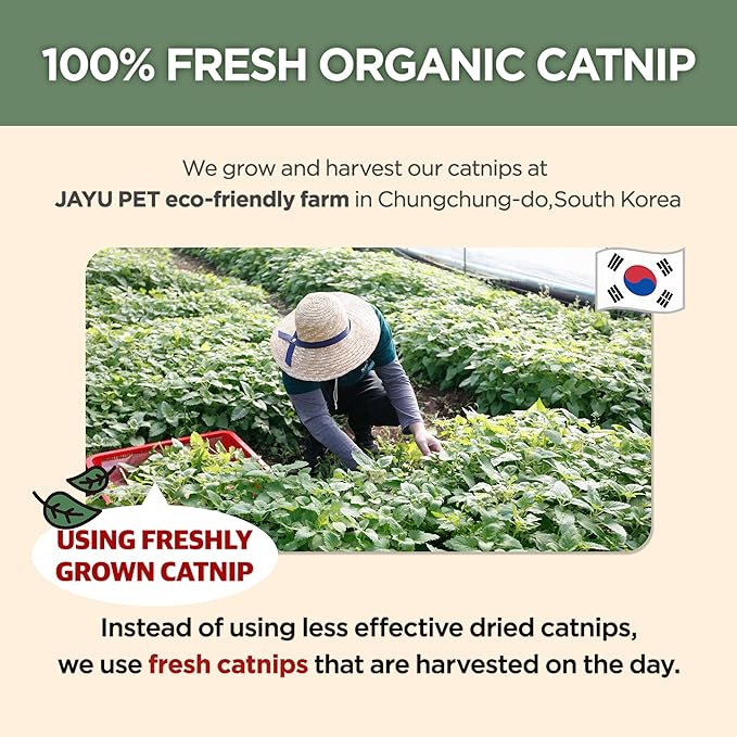 JAYU PET Active Catnip Spray - High Potency Transparent Liquid Spray made of Fresh Organic Catnip for Indoor Cats and Kittens, Relieves Stress, Calming, Revives Toys (1fl oz) (Catnip Spray, 1fl oz)