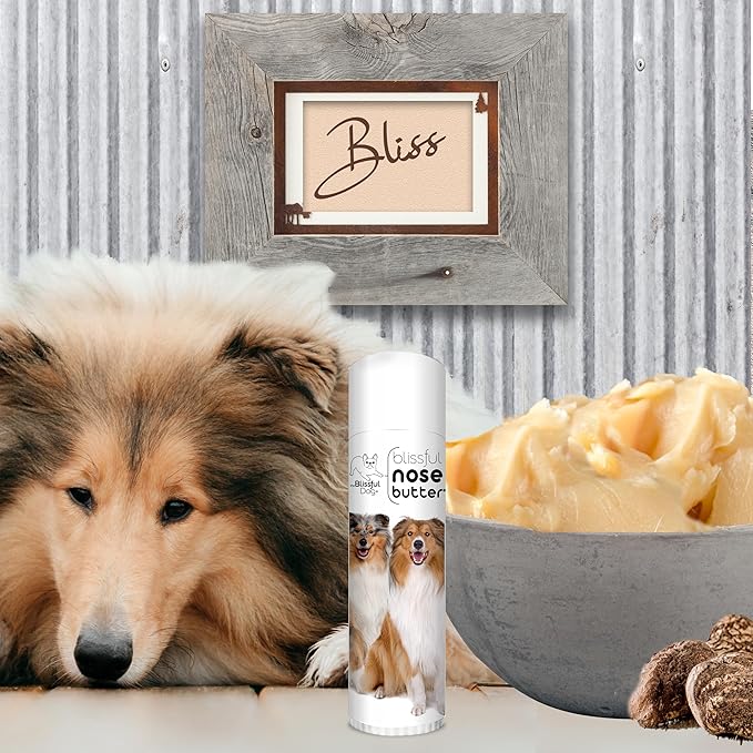 The Blissful Dog Collie Nose Butter for Dry, Cracked Skin, Lick-Safe Dog Nose Balm with Moisturizing Shea Butter, Almond, Olive, and Essential Oils, Pet Supplies, Uncented, 0.50 oz.