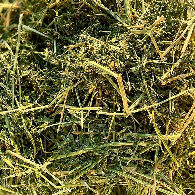 Blue Mountain Hay High-Altitude Hay - Organic Alfalfa, 5lb - High Protein, Fiber & Mineral-Rich - Soft, Leafy, High Leaf Retention - Ideal for Goats, Rabbits, Guinea Pigs & Other Small Animals