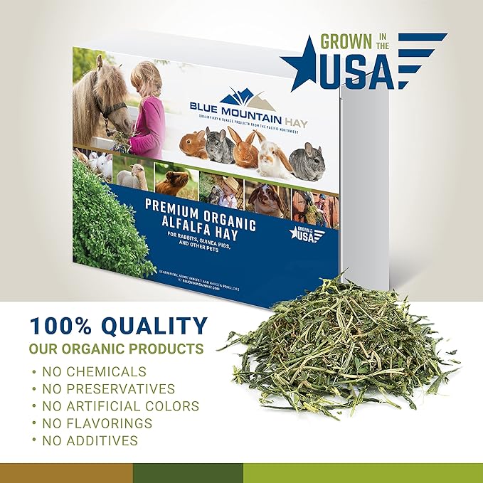 Blue Mountain Hay High-Altitude Hay - Organic Alfalfa, 5lb - High Protein, Fiber & Mineral-Rich - Soft, Leafy, High Leaf Retention - Ideal for Goats, Rabbits, Guinea Pigs & Other Small Animals