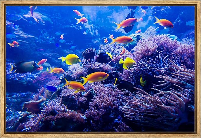 wall26 Framed Canvas Print Wall Art Purple Blue Vibrant Anemone Coral Reef Fish Nature Animals Realism Rustic Scenic Landscape Wilderness Colorful for Living Room, Bedroom, Office - 24"x36" Natural