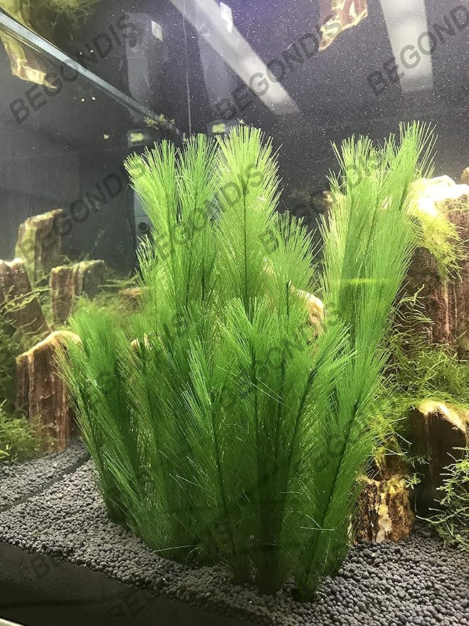 BEGONDIS Aquarium Decorations 3Pcs Fish Tank Artificial Green Water Plants Made of Silk Fabrics Plastic