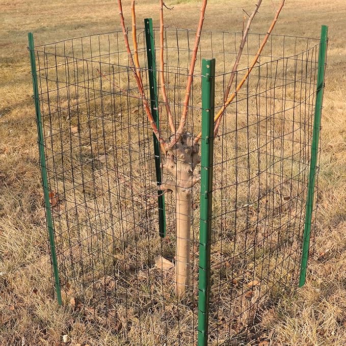 Black PVC Coated Welded Wire Fence 48 Inch x 25 Foot, 2 Inch x 3 Inch 16GA, Garden Border Fencing Roll Vinyl Coating Metal Wire Mesh for Yard Vegetable Plant Protection Poultry Netting