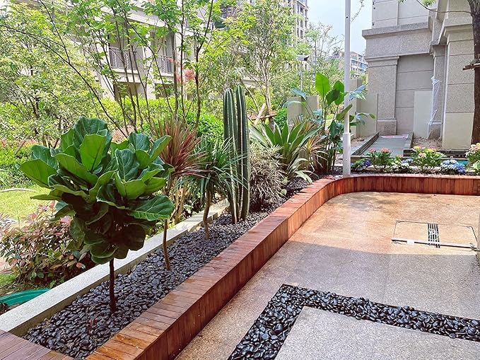 5 lbs Natural Polished Black River Rocks, 1-2 inch Decorative Pebbles for Indoor Plants. Black Stones for Planters, Vase, Garden Landscape Rocks and Outdoor Decorative Stones