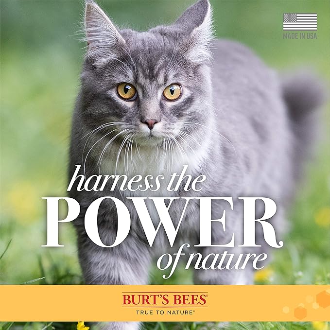 Burt's Bees for Pets Waterless Cat Grooming Spray with Shea Butter and Honey, 99.3% Natural Origin Formulas, Dry Shampoo, Kitten Supplies, 10oz