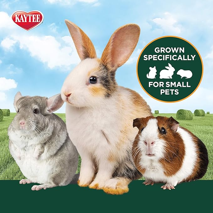 Kaytee All Natural Timothy Hay Plus Rose & Thyme for Guinea Pigs, Rabbits & Other Small Animals, 24 Ounce