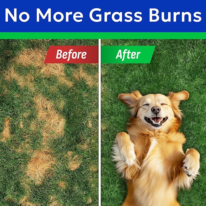 BARK&SPARK Green Grass Chews - Pee Grass Spot Saver Caused by Dog Urine - Urine Neutralizer for Lawn, Gut Health Probiotics & Digestive Enzymes,Lawn Burn from Dog Urine, Grass Burn Spot Chews, Rocks